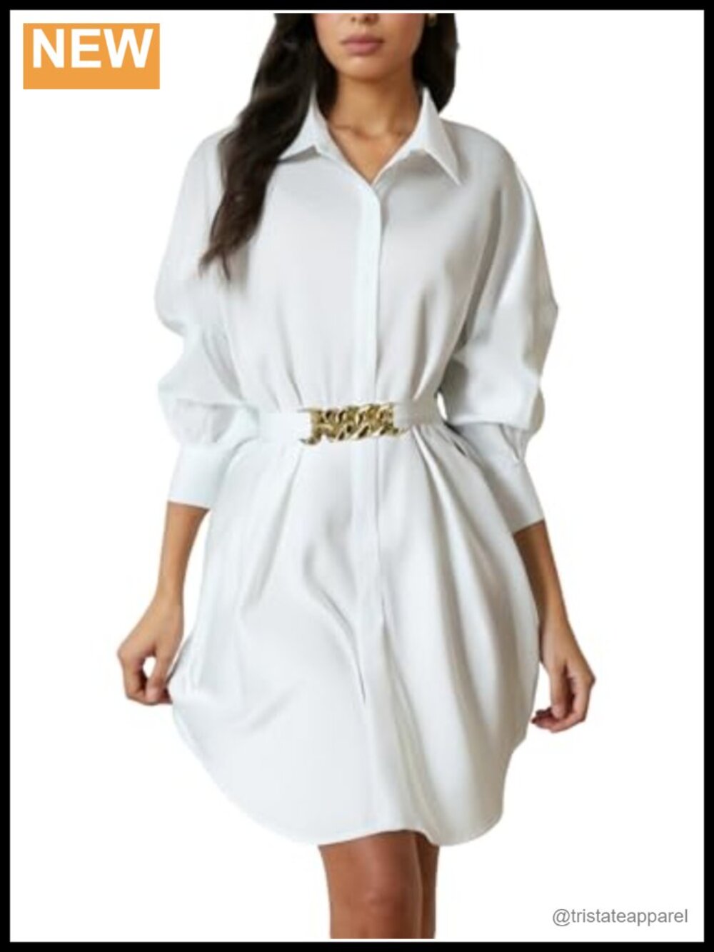 Elegant Long Sleeve Button Down Collared Belted Blouse with Lantern Sleeves